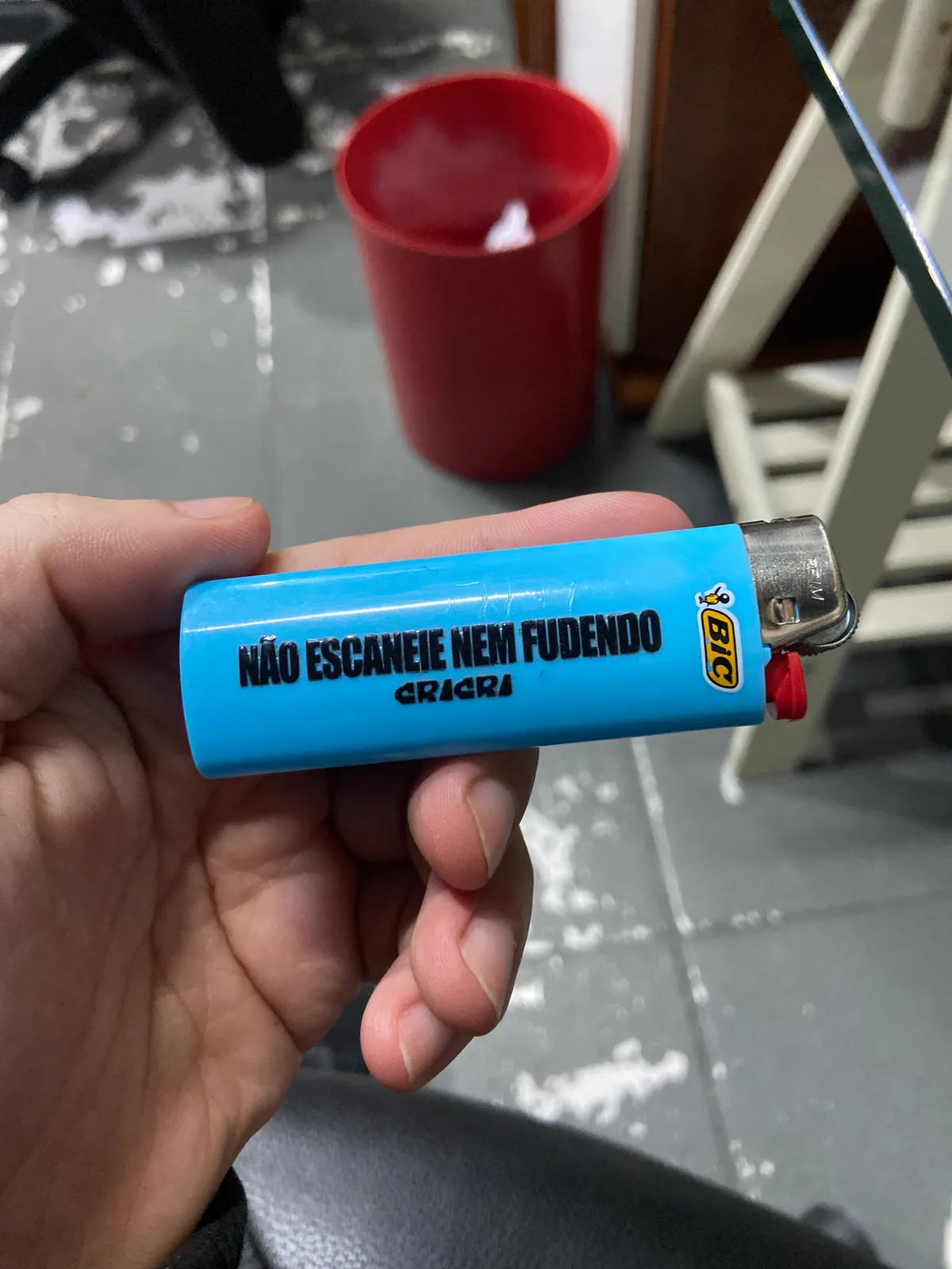 foto de um cricri